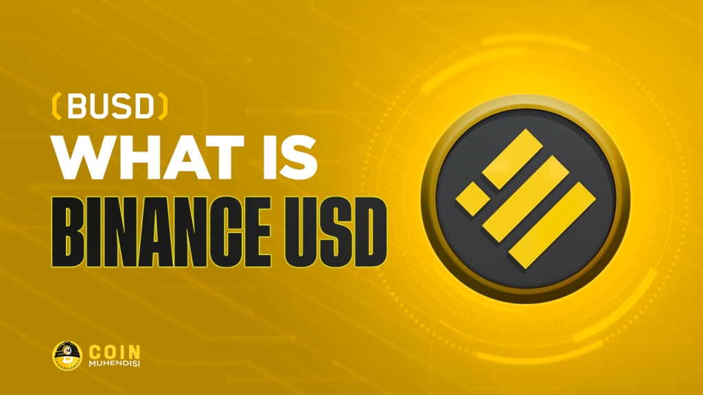 Binance Usd