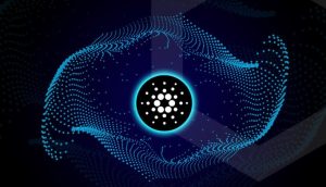 Cardano 1