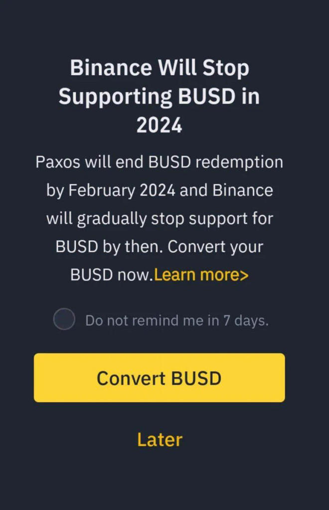 Binance Busd