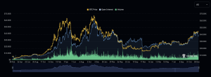 Bitcoin Etf 