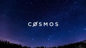 Cosmos