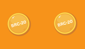 Brc-20 Tokens