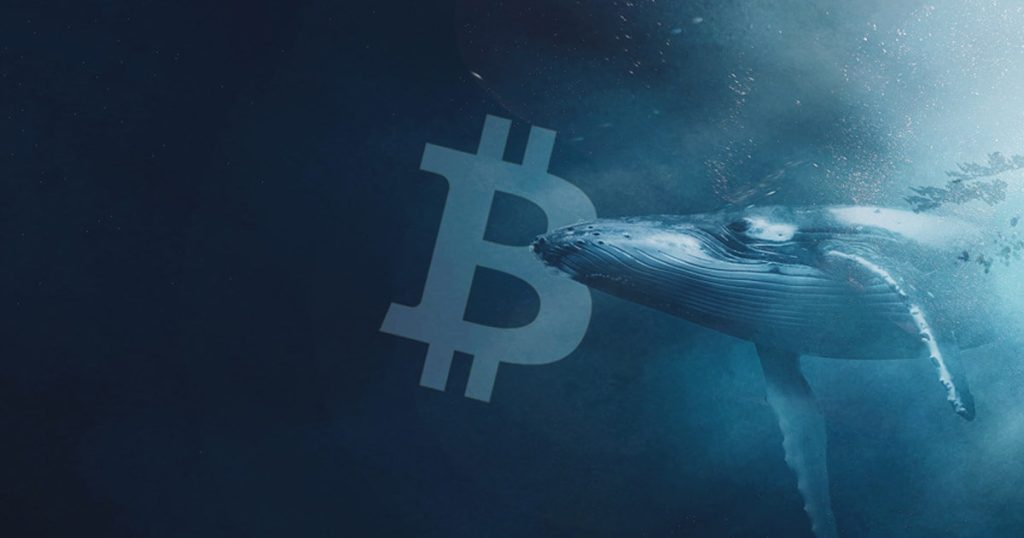 Bitcoin Whales