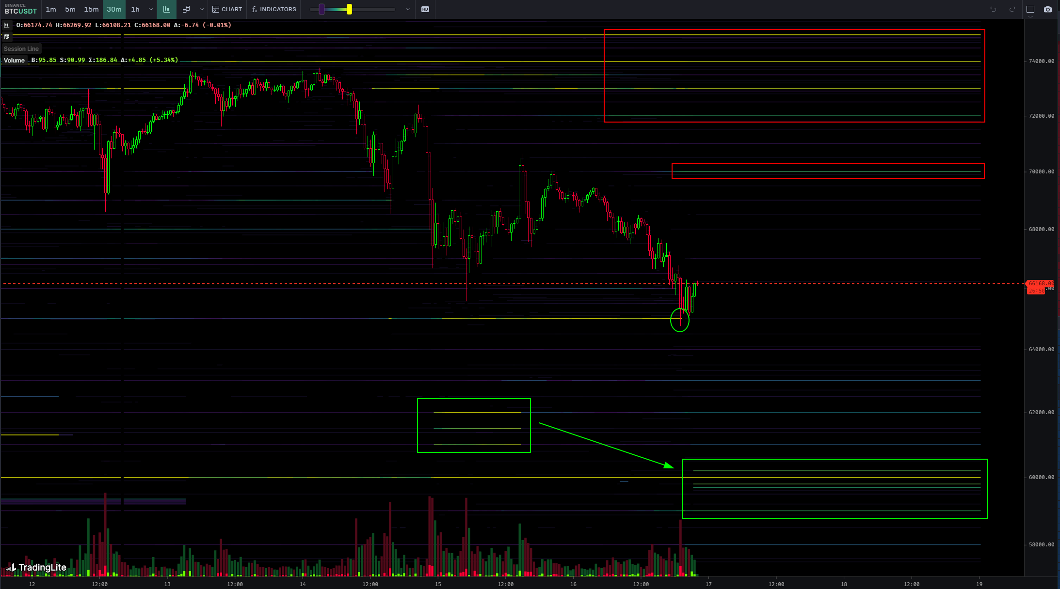 Btcusdt Order Book Data With Bid Liquidity. Source Skewx