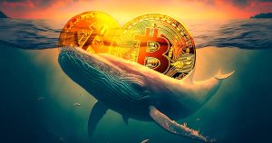 Bitcoin Whale