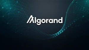 Algorand-Foundation