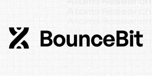 Bouncebit