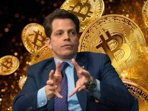 Anthony Scaramucci Bitcoin Btc