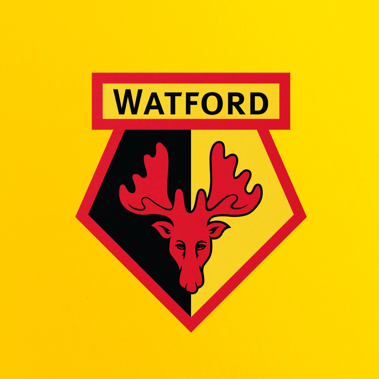 Watford 1