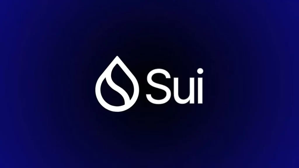 Sui Coin Nedir