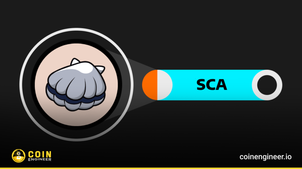 Scallop Sca