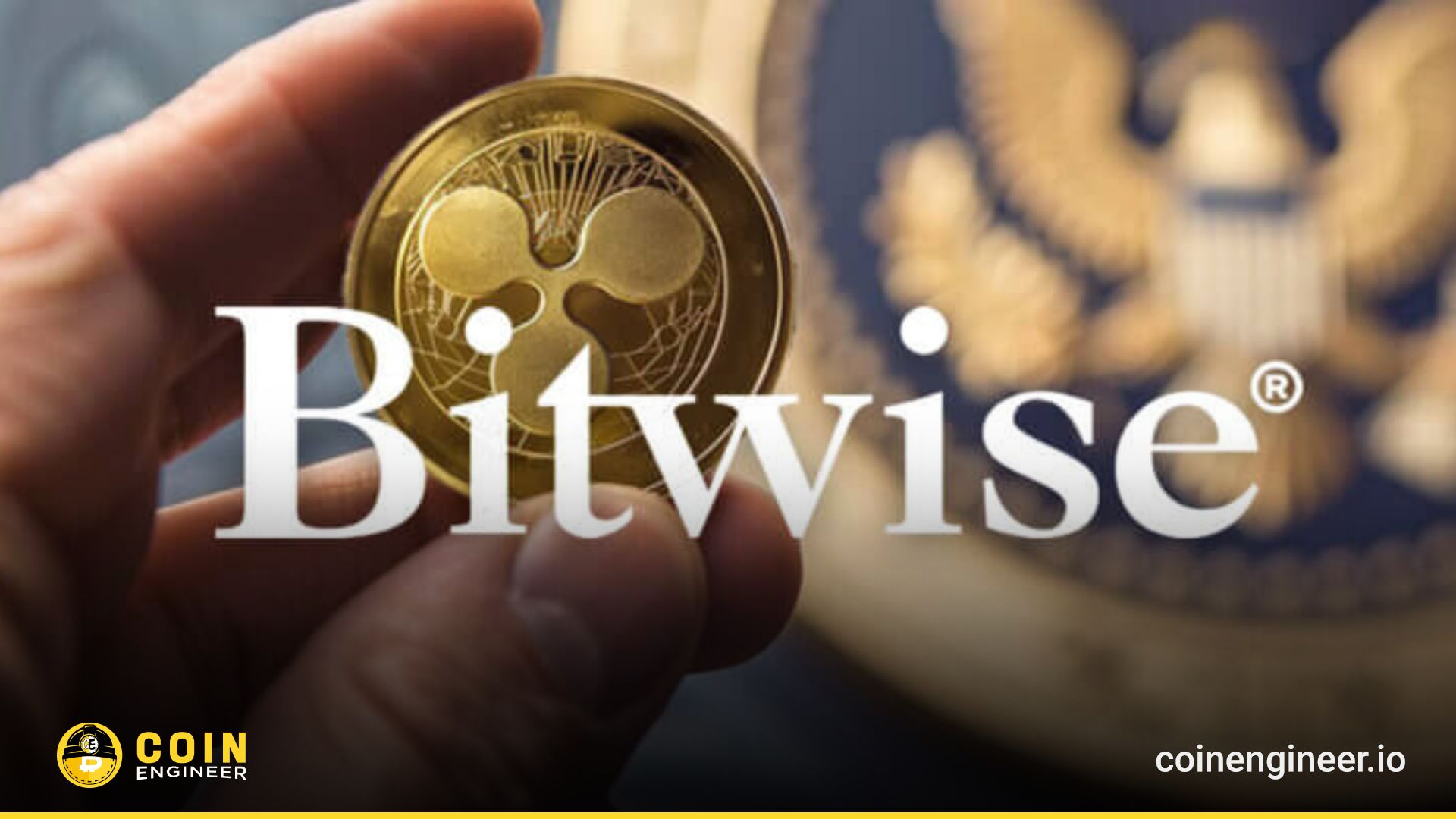 Bitwise, Ripple, Xrp