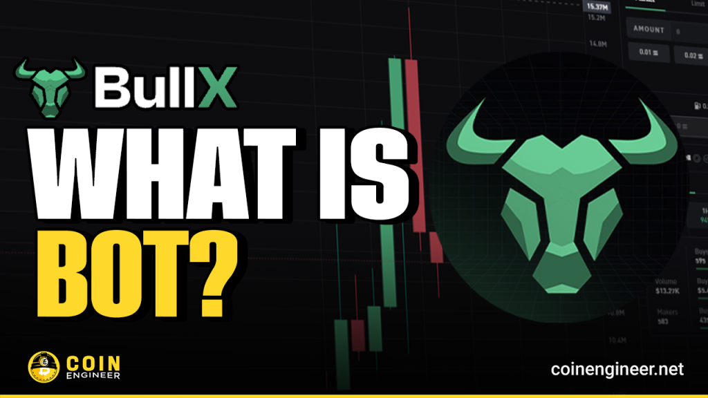 What Is Bullx