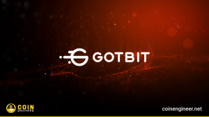 Gotbit 2