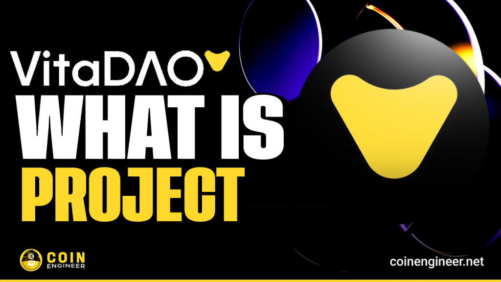 What Is Vita Dao